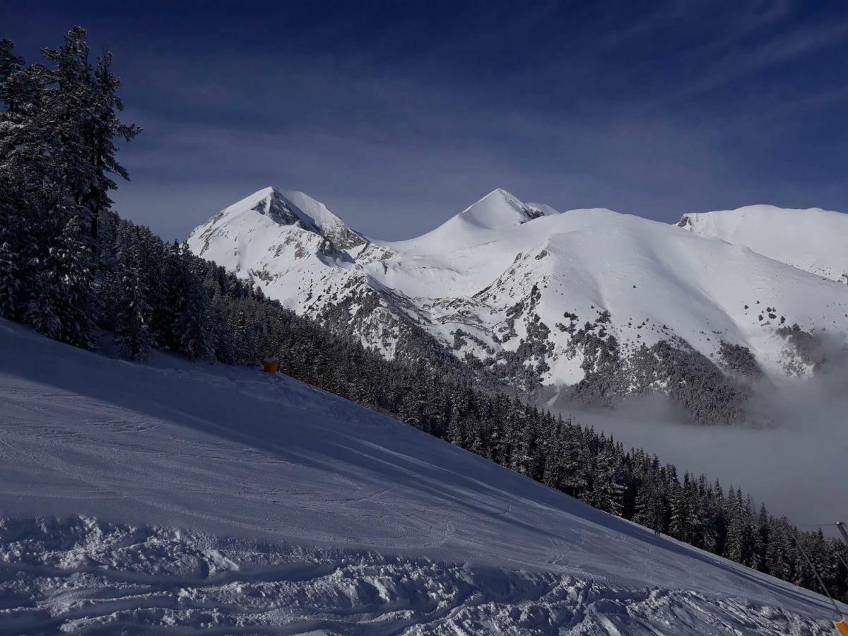 Mamin Kolio Otel Bansko Dış mekan fotoğraf